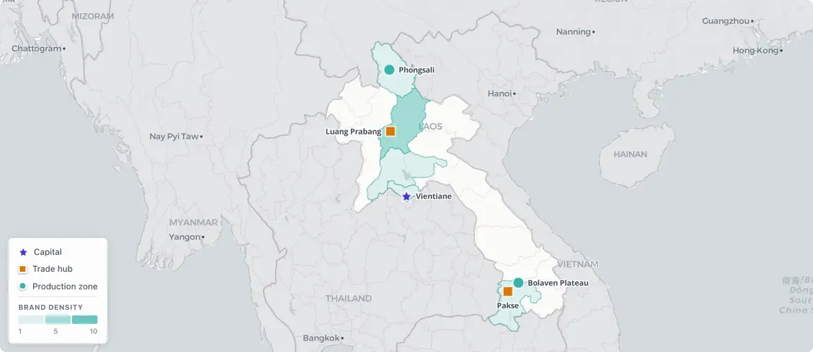 Bolaven Plateau produces 95% of Lao coffee from two families; Luang Prabang's hospitality was built by exile returnees; Phongsali holds ancient tea — three geographies invisible to global capital.
