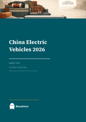 China Electric Vehicles 2026