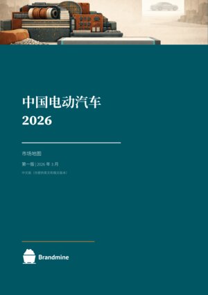 中国新能源汽车 2026